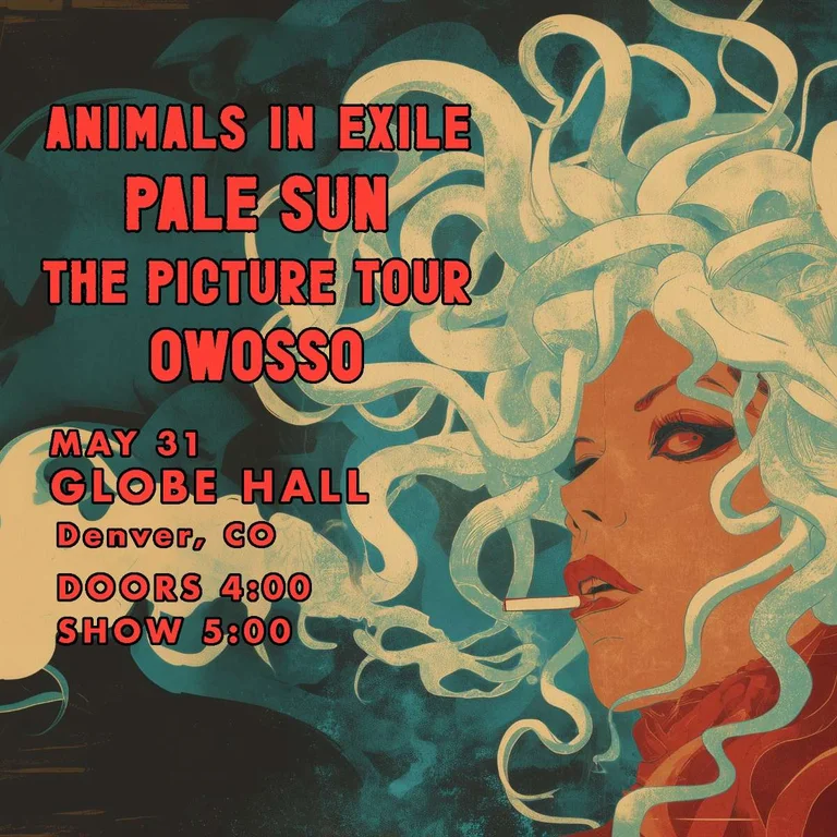 Animals In Exile w/ Pale Sun, The Picture Tour + Owosso
