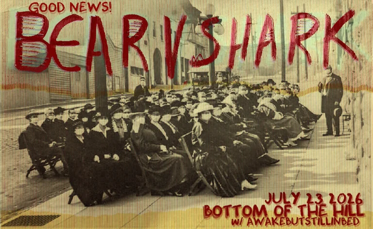 Bear vs Shark