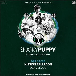 Snarky Puppy