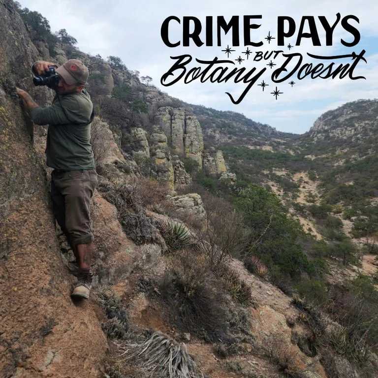 Crime Pays But Botany Doesn't (Joey Santore)