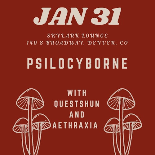 Psilocyborne / Questshun / Aethraxia