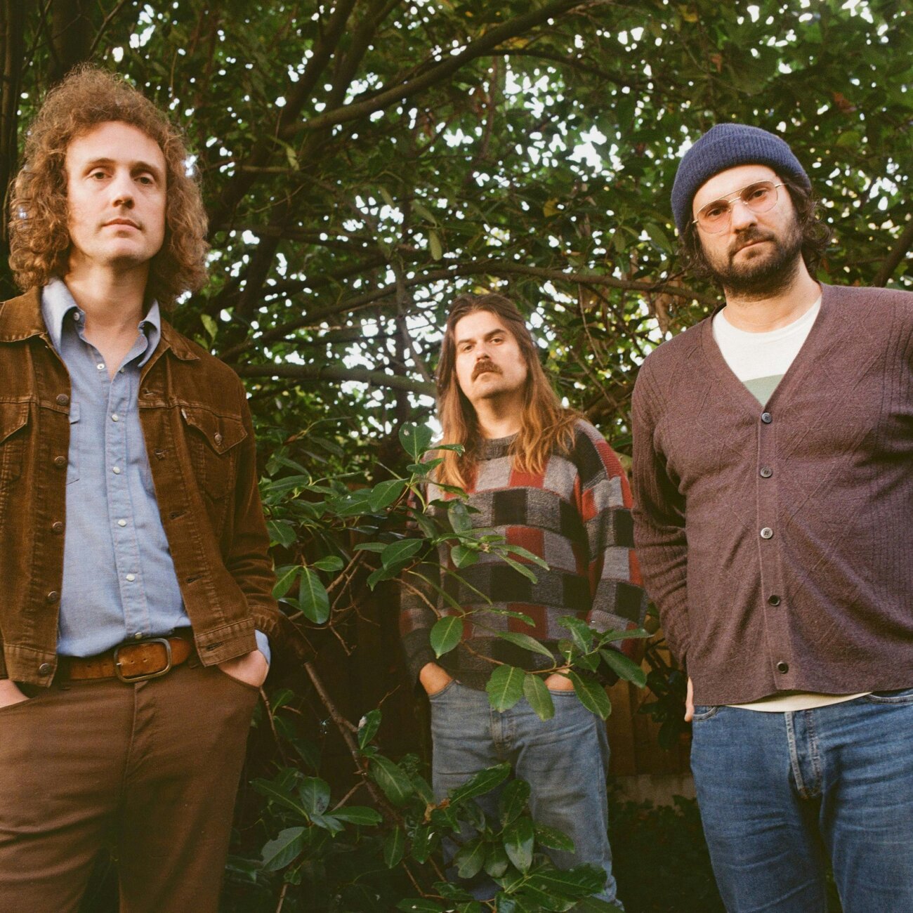 Triptides + Honey Blazer + Sour Magic